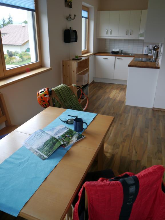 Austrian Alpine Apartments Ramsau am Dachstein Exterior photo